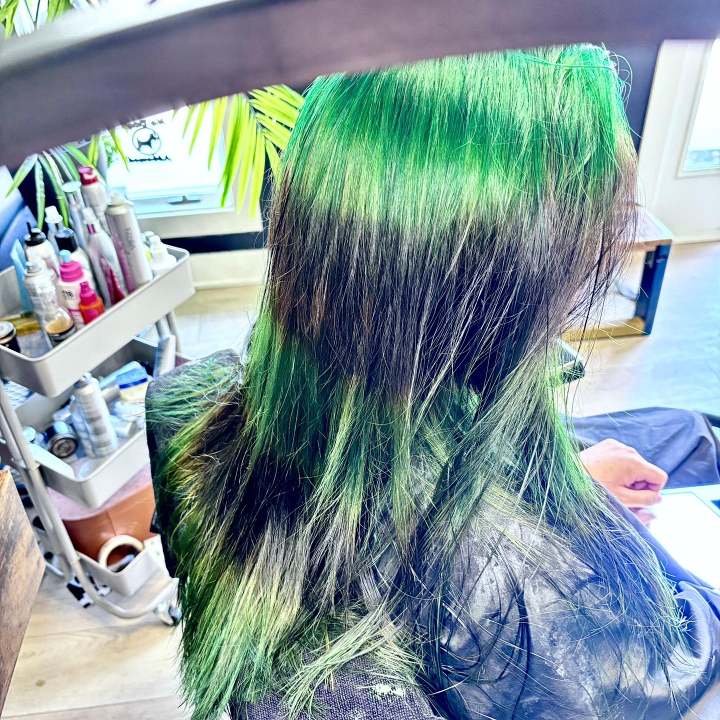 Hair transformation